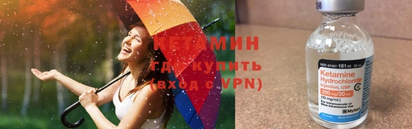 стафф Арсеньев